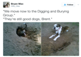 Bryan Mac Follow @Bry Mac We move now to the Digging and Burying Group. "They're still good dogs, Brent."