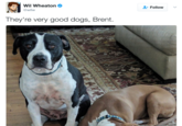 Wil Wheaton @wilw + Follow 、 They're very good dogs, Brent