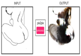 INPUT OUTPUT pix2pix process
