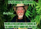 FIT PLEASES THE CROWN IM WILLIE NELSON AND FLLSMOKEALL THE DAMNWEED I DAMN WELLPLEASE