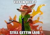 YIFF IN HELL? STILL GETTIN LAID mgfip.com