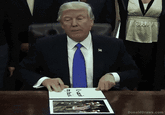 It wasn't my fault DonaldDraws.com