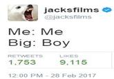 jacksfilms @jacksfilms Me: Me Big: Boy RETWEETS LIKES 1,753 9,115 12:00 PM-28 Feb 2017