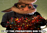 I bet the predators did this BET THE PREDATORS DID THIS
