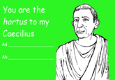 You are the hortus to my Caecilius Ad Ab