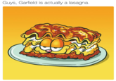 Guys, Garfield is actually a lasagna.