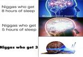 N----- who get 8 hours of sleep @ove cooked.doggo N----- who get 5 hours of sleep N----- who get 3