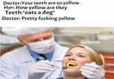 Doctor:Your teeth are so yellow Her: How yellow are they Teeth: eats a dog* Doctor: Pretty f------ yellow