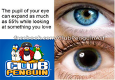 The pupil of your eye can expand as much as 55% while looking at something you love com/ClubPenguinAsf GUUE PENBDIN