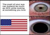 The pupil of your eye can expand as much as 55% while looking at something you love