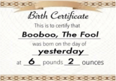 Boo Boo's Birth Certificate Biuth Certificate This is to certify that Booboo, The Fool was born on the day of yesterday pounds_Z_ounces