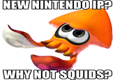 NEWININTENDOIP WHYNOT SQUIDS?