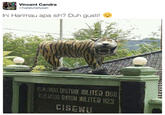 Vincent Candra @halleluhellyeah Ini Harimau apa sih? Duh gusti! DISTRK HILITER O6 ANDO RAYON AILITER 123 CISEMU