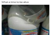 What a time to be alive FORMULA ME