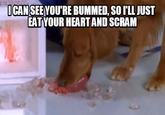 ICAN SEEYOU'RE BUMMED, SO ILL JUST ATYOUR HEART AND SCRAM