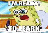 IM READY! TO LEARN iemegeneratorie