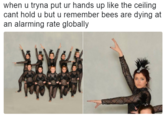 when u tryna put ur hands up like the ceiling cant hold u but u remember bees are dying at an alarming rate globally
