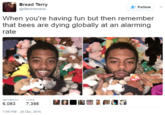 Bread Terry @SlimiHendrix Follow ﹀ When you're having fun but then remember that bees are dying globally at an alarming rate RETWEETS LIKES 6,083 7,398 7:09 PM -26 Dec 2015