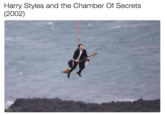 Harry Styles and the Chamber Of Secrets (2002)