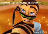According to all known laws of aviation, there is no way a bee should be able to fly. Its wings are too small to get its fat little body off the ground. The bee, of course, flies anyway because bees don’t care what humans think is impossible.