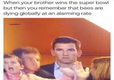 When your brother wins the super bowl but then you remember that bees are dying globally at an alarming rate
