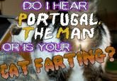 DO IHEAR PORTUSAL