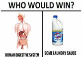 WHO WOULD WIN? OR SPLASH-LESS HUMAN DIGESTIVESYSTEMSOME LAUNDRY SAUCE
