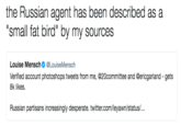 It's a "Small Fat Bird" the Russian agent has been described as a "small fat bird" by my sources Louise Mensch Φ @LouiseMensch Verified account photoshops tweets from me, @20committee and @ericgarland - gets 8k likes Russian partisans increasingly desperate. twitter.com/leyawn/status/...