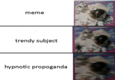 meme trendy subject hypnotic propoganda