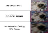 astronaut space man interstellarfaring life form