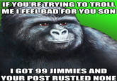 FYOU'RETRVING TO TROLL I GOT 99 JIMMIES AND YOUR POST RUSTLED NONE