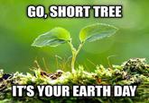 GO,SHORT TREE IT'S YOUR EARTH DAY