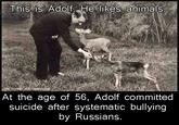 Adolf likes animals This is Adolf. He likes animals At the age of 56, Adolf committed suicide after systematic bullying by Russians.