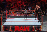 #RAW