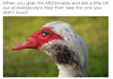 McDonalds Reference When you grab the McDonalds and eat a little bit out of everybody's fries then take the one you didn't touch