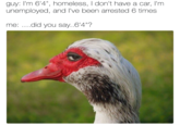 Flirty Goose guy: I'm 6'4", homeless, I don't have a car, I'm unemployed, and I've been arrested 6 times me: ....did you say..6'4"?
