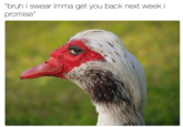 I'll Getchoo Back 'bruh i swear imma get you back next week i promise"