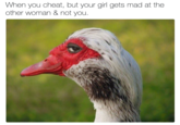 Good Cheating When you cheat, but your girl gets mad at the other woman & not you