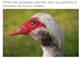 Sundress In the Bootycheeks When the sundress catches ever so perfectly in between her booty cheeks