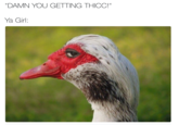 TFW Thicc "DAMN YOU GETTING THICC!" Ya Girl: