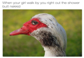 Nekkid When your girl walk by you right out the shower butt nekkid
