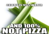 CELERY IS 95% WATER AND 100% NOT PIZZA