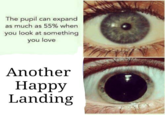 The pupil can expand as much as 55% when you look at something you love Another Happy Landing