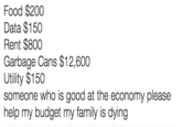 Food $200 Data $150 Rent $800 Garbage Cans $12,600 Utility $150 someone who is good at the economy please help my budget my family is dying