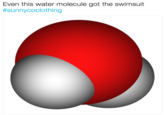 Even this water molecule got the swimsuit #sunnyc°clothing
