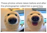These photos where taken before and after the photographer called him a good boy @DrSmashlove