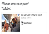 "Woman sneezes on plane* Youtuber: SHE SCREAMED THE ENTIRE FLIGHT CaseyNeistat 2.9M views CaseyNeistat 13:16