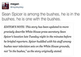 megan @HayMeyMey Sean Spicer is among the bushes, he is in the bushes, he is one with the bushes EDITOR'S NOTE: This story has been updated to more precisely describe White House press secretary Sean Spicer's location late Tuesday night in the minutes before he briefed reporters. Spicer huddled with his staffamong bushes near television sets on the White House grounds, not "in the bushes," as the story originally stated.