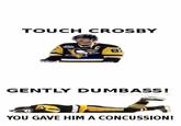 TOUCH CROSBY GENTLY DUMBASS! HOCKEYBD YOU GAVE HIM A CONCUSSION
