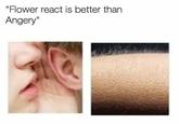 "Flower react is better than Angery"